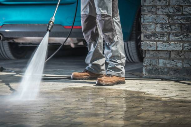 Best Soft Washing for Delicate Surfaces in Mount Olive, MS